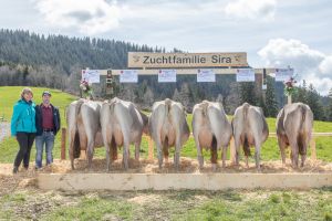 87 SIRA CH 120.1182.7325.6 Horat Beat IMGL5202